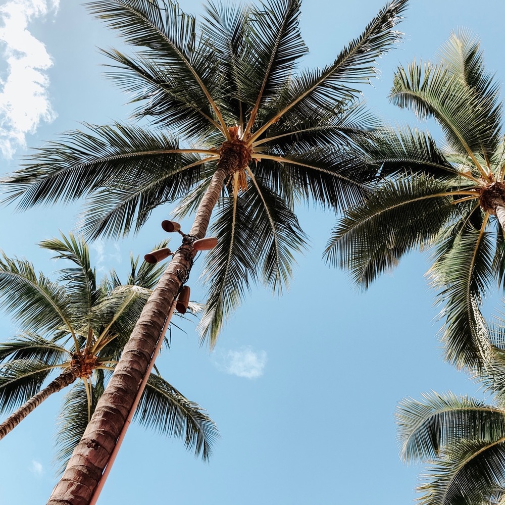 Meet your Posher, Zoe